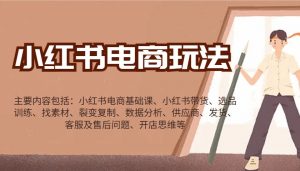 小红书电商玩法：带货/选品/找素材/裂变/数据分析/供应商/发货/售后/开店思维等-小毅网创