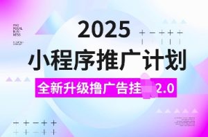2025小程序推广计划，全新升级撸广告挂JI2.0玩法，日入多张，小白可做【揭秘】-小毅网创