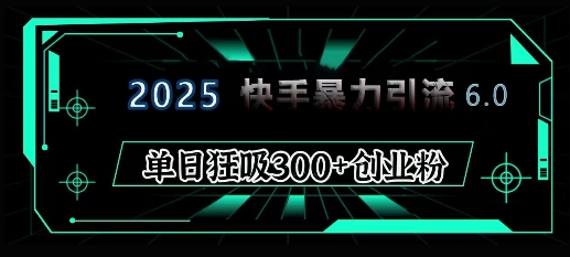 2025年快手6.0保姆级教程震撼来袭，单日狂吸300+精准创业粉 - 小毅网创-小毅网创