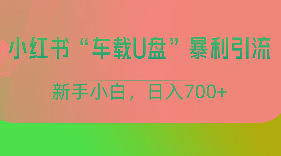 小红书“车载U盘”项目,暴利引流,新手小白轻松日入700+ - 小毅网创-小毅网创