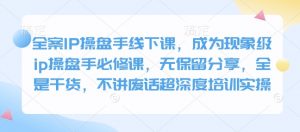 全案IP操盘手线下课，成为现象级ip操盘手必修课，无保留分享，全是干货，不讲废话超深度培训实操-小毅网创