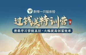 剽悍一只猫-过钱关特训营，学习营销真经 大幅度提高创富效率-小毅网创