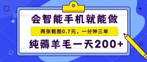 会智能手机就能做，两张截图0.7元，一分钟三单，纯薅羊毛一天200+-小毅网创