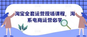 淘宝全套运营现场课程,淘系电商运营必学-小毅网创