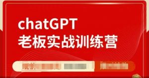 ChatGPT老板实战训练营，用GPT带飞，一人顶一个团队-小毅网创