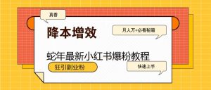 蛇年最新小红书爆粉教程,狂引副业粉,月入万+必看-小毅网创
