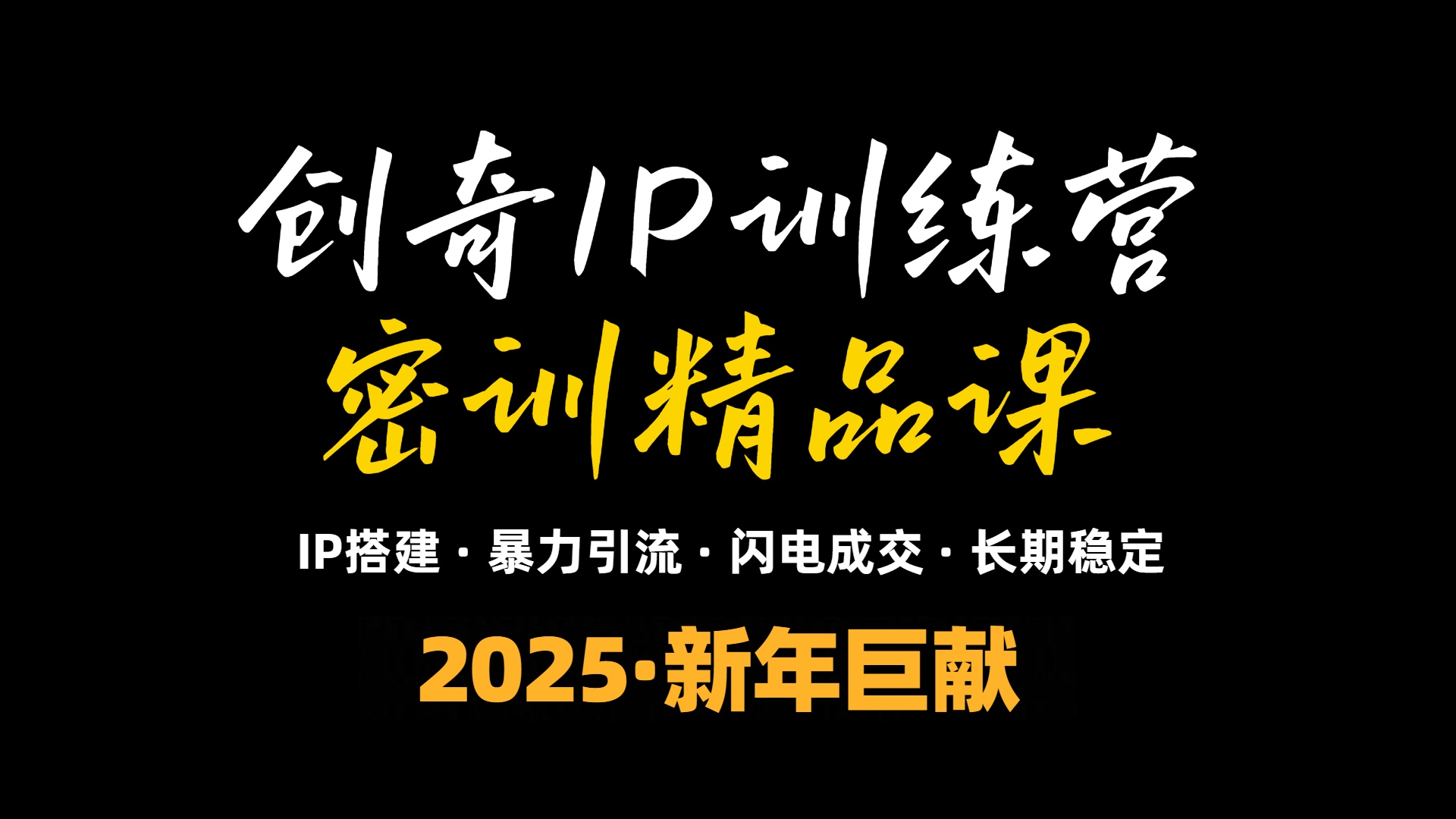 2025年“知识付费IP训练营”小白避坑年赚百万，暴力引流，闪电成交 - 小毅网创-小毅网创