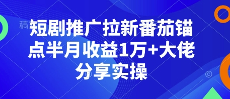 短剧推广拉新番茄锚点半月收益1万+大佬分享实操 - 小毅网创-小毅网创