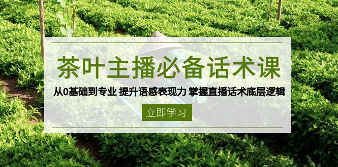 茶叶 主播必备话术课 从0基础到专业 提升语感表现力 掌握直播话术底层逻辑 - 小毅网创-小毅网创
