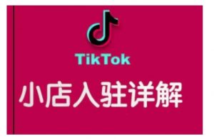 TikTok跨境小店运营全攻略，帮助你独立运营TK跨境小店的能力，实现销量增长-小毅网创