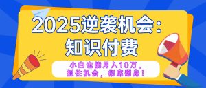 2025逆袭项目——知识付费，小白也能月入10万年入百万，抓住机会彻底翻...-小毅网创