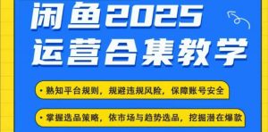 2025闲鱼电商运营全集,2025最新咸鱼玩法-小毅网创