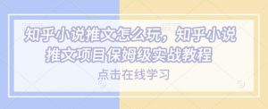 知乎小说推文怎么玩，知乎小说推文项目保姆级实战教程-小毅网创