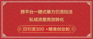 跨平台一键式暴力引流玩法，私域流量高效转化日引流300 +精准创业粉-小毅网创