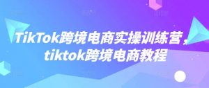 TikTok跨境电商实操训练营，tiktok跨境电商教程-小毅网创