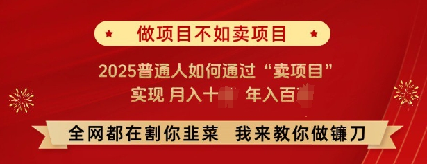 必看,做项目不如卖项目,2025普通人如何通过“卖项目”实现月入十个,年入百个 - 小毅网创-小毅网创