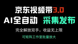京东视频带货3.0，Ai全自动采集＋自动发布，完全解放双手，收入无上限...-小毅网创