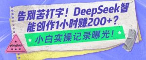 告别苦打字!DeepSeek智能创作1小时入2张?小白实操记录曝光-小毅网创