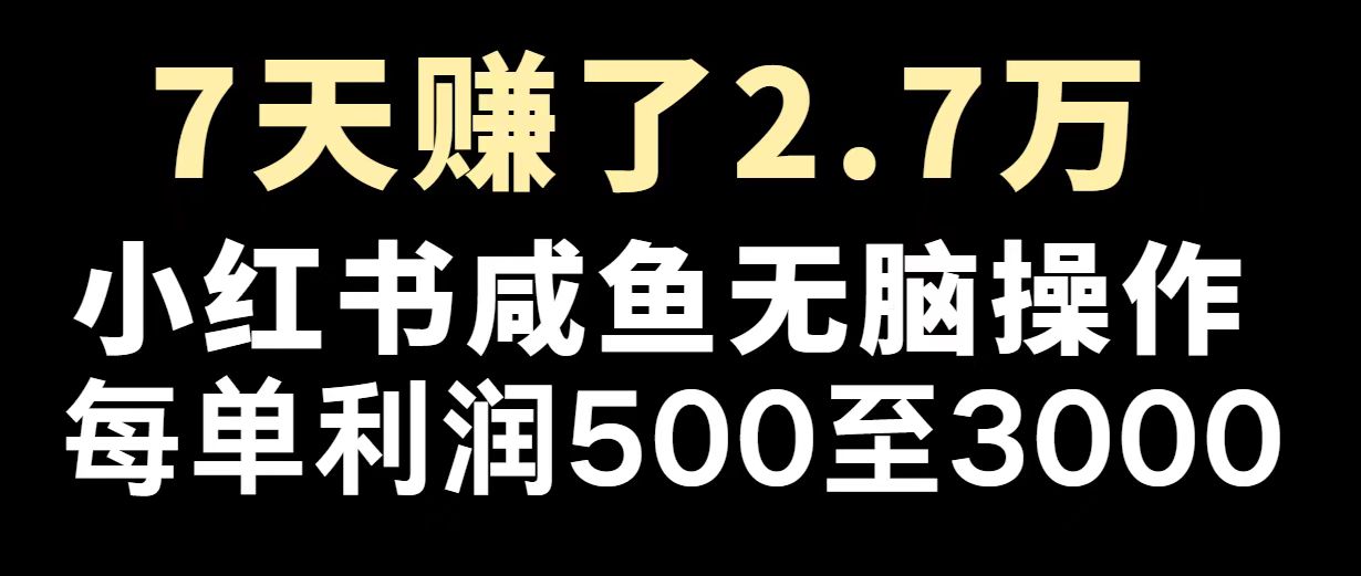 最赚钱项目之一，2025爆火，逆风翻盘！ - 小毅网创-小毅网创