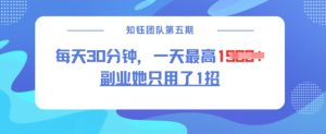 副业她只用了1招，每天30分钟，无脑二创，一天最高1.5k-小毅网创