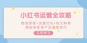 小红书运营全攻略，精准获客+流量优化+软文种草，揭秘高客单产品投放技巧-小毅网创