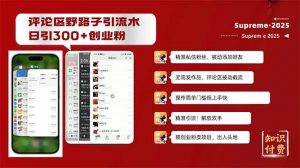 评论区野路子截流创业粉新方法，日被动加300+创业粉，精准引流被动添加...-小毅网创