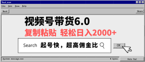 视频号带货6.0，轻松日入2000+，起号快，复制粘贴即可，超高佣金比-小毅网创