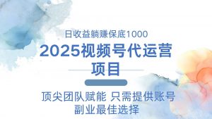 2025视频号代运营 日躺赚1000＋ 只需提供账号-小毅网创