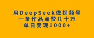 用DeepSeek做视频号，一条作品点赞几十万，单日变现1k-小毅网创