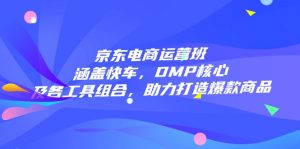 京东电商运营班：涵盖快车，DMP核心及各工具组合，助力打造爆款商品-小毅网创