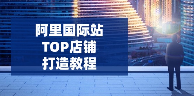 阿里国际站TOP店铺打造教程:涵盖平台到高阶,解决运营难题,提升询盘 - 小毅网创-小毅网创