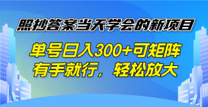 照抄答案当天学会的新项目，单号日入300 +可矩阵，有手就行，轻松放大-小毅网创