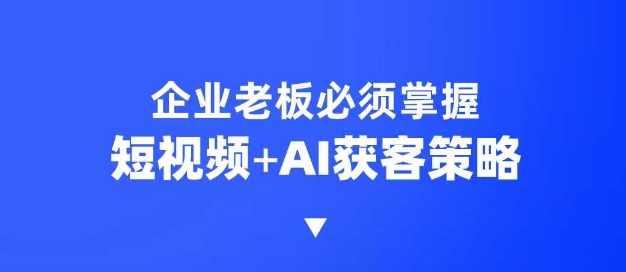 企业短视频AI获客霸屏流量课,6步短视频+AI突围法,3大霸屏抢客策略 - 小毅网创-小毅网创