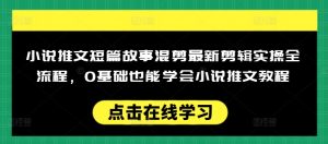小说推文短篇故事混剪最新剪辑实操全流程，0基础也能学会小说推文教程，肯干多发日入多张-小毅网创