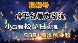 跨平台暴力引流，私域完美闭环，日引500+精准创业粉-小毅网创