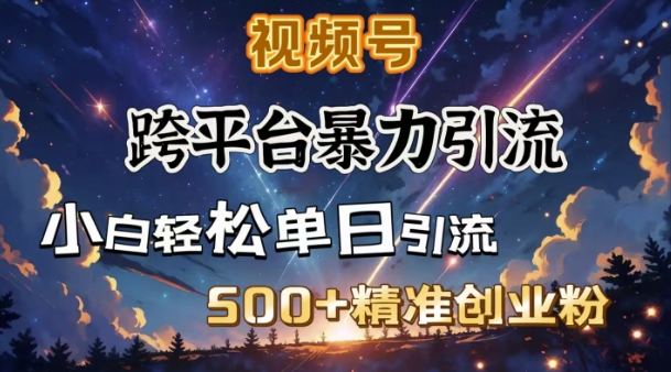 跨平台暴力引流，私域完美闭环，日引500+精准创业粉 - 小毅网创-小毅网创