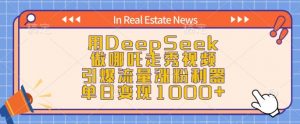用DeepSeek做哪吒走秀视频，引爆流量涨粉利器，单日变现1k-小毅网创