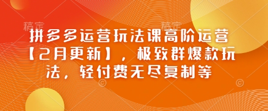 拼多多运营玩法课高阶运营【2月更新】,极致群爆款玩法,轻付费无尽复制等 - 小毅网创-小毅网创