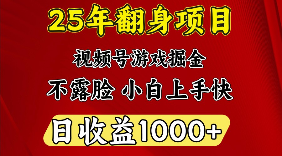 一天收益1000+ 25年开年落地好项目 - 小毅网创-小毅网创