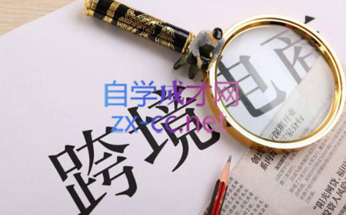 帮课大学VIP会员课程(更新2025年) - 小毅网创-小毅网创