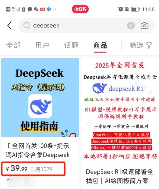 利用热门DeepSeek赚钱项目，多种变现方式小白也能盲赚3W+，就是用这个方法 - 小毅网创-小毅网创