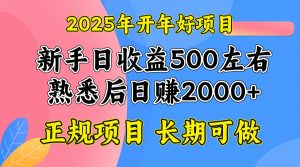 2025开年好项目，单号日收益2000左右-小毅网创