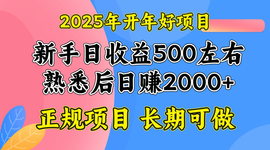 2025开年好项目，单号日收益2000左右 - 小毅网创-小毅网创