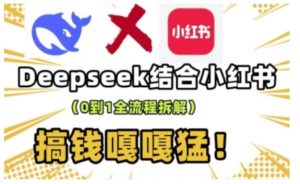 deepseek+小红书打造流量生产线实操课，0到1全流程拆解，搞钱嘎嘎猛-小毅网创
