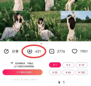 最新图虫搬运项目，收益无上限，利用AI小白也可日赚500+-小毅网创