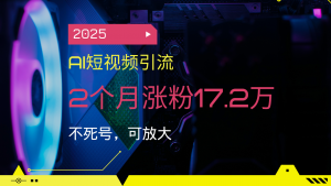 2025AI短视频引流，2个月涨粉17.2万，不死号，可放大-小毅网创