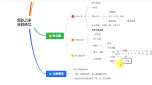 苏博士·淘宝精细化铺货运营陪跑(部分更新至2025)-小毅网创