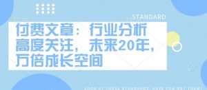 付费文章:行业分析 高度关注,未来20年,万倍成长空间-小毅网创
