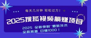 2025最新看视频躺赚收益项目 日赚1000-小毅网创