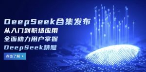 DeepSeek合集发布，从入门到职场应用，全面助力用户掌握DeepSeek精髓-小毅网创